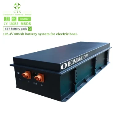 Cts Lithium Ion 96V EV Boat Battery Pack, Lithium LiFePO4 Electric Boat Battery, BMS Protected Lithium Battery for E-Boat/Yacht