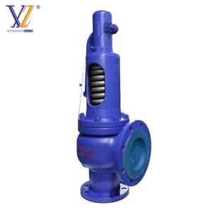 Custom Factory DIN Standard 1.0619 1.4404 Safety Valve Carbon Steel Stainless Steel Pressure Relief Valve DN100/150