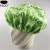 Import Custom PEVA lined with terry cloth double layer hair bonnet shower cap from China