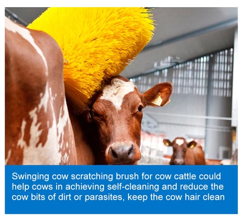 Customized Animal Husbandry Cleaning Mechanical Fully Automatic Cow Body Brush