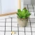 Customized handmade Real Touch China factory mini artificial plants succulent plant