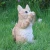 Import Cute custom polyresin animal figurine cat resin statu, wholesale resin garden decor cat statue lifesize&amp; from China