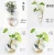 Import DAILY Glass Vase with Hanger Hanging Flower Wall Vases Glass Hanging Pendant Vase from China