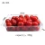Import Disposable Transparent Plastic Packaging tray for vegetable/fruit from China