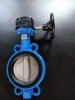 DN40-1200 Cast Iron ductile iron SS304 SS316 ADC12 C954 Body EPDM NBR PTFE VITION seat wafer butterfly valve with worm gear