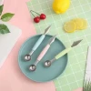 Double-ended stainless steel fruit knife, fruit platter, spoon, ice cream scoop, double-ended fruit knife