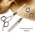 Import Edward professional hair scissors hair cutting tool set from China