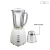 Import Electric Fruit And Vegetable Mixer Best Blender For Juicing from China