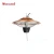Import Electric Patio Heater-Ceiling heater from China