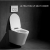 Import Europe design Economic Modern Rimless Ceramic Bathroom wash down wall hung toilet mounts in one piece from China