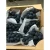 Import Excellent quality delicious fresh seedless grape from Japan