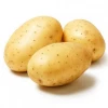 Export Quality 100% Natural Fresh Cheap Potato