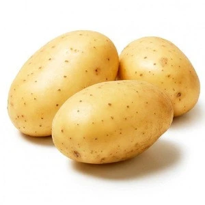 Export Quality 100% Natural Fresh Cheap Potato