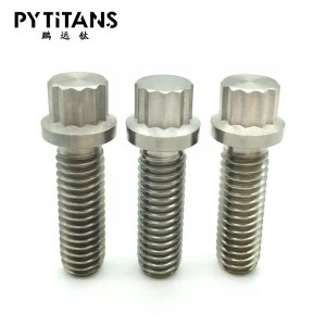 Factory Direct Sale GR5 Titanium Alloy Bolts with Flange for Motorcycle China CNC Titanium Bolt