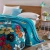 Import Factory directly sale velvet blanket, flannel coral fleece blanket throw blanket from China