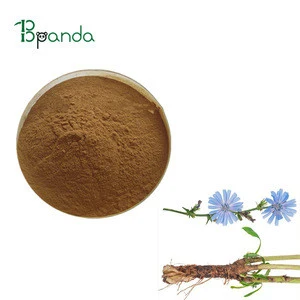 Factory supply Pure Natural Chicory root extract