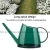 Import Fashionable Candy-Colored Uncovered Long Spout Plastic Garden Sprayer Watering Can 1.2L from China