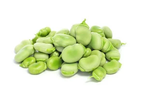 Fava Beans , Dry Broad Beans ,Green Broad Beans