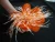 Import feather flower decorative flower wreath from China