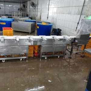 Food industrial conveyor weighing scale checkweigher Auto weight sorting machine fruits processing