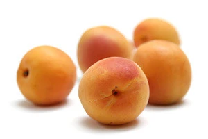 Fresh Apricot (Stone Fruit) For sale