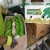 Import Fresh Bananas from Ecuador from Ecuador