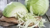 Fresh Cabbage - Best price, high quality