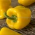 Import Fresh Capsicum Yellow Red Green from South Africa