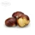 Import Fresh chestnut for roasted chestnuts not chestnut peeling machine from China