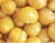 Import Fresh Chestnut  High Quality Fresh Chestnuts Size 50 from China