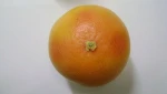 fresh grape fruits