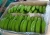Import Fresh Green Cavendish Banana from USA
