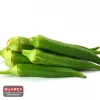 Fresh Green Okra Manufacturer/ Supplier/ Exporter