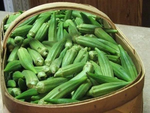 Fresh Green Okra Wholesale Price