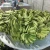 Import Fresh Long Green Cavendish Banana Exporters In USA from China