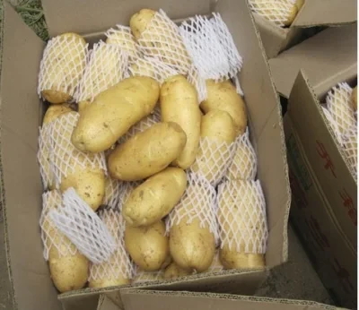 Fresh Potato Small to Big Size Vegetables