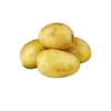 Fresh sweet potatoes high quality cheap potatoes price per ton for sale fresh potato