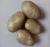 Import Fresh Vegetable/Potato from Bangladesh