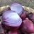 Import Fresh Vegetables Onion High Quality China Non-peeled COMMON Round Onion from China