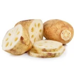 Fresh Vegetables White Lotus Root Export Price