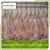 Import frozen halal goat carcass from China