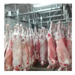 Buy Frozen Halal Sheep / Lamb Tail Fat For Sale from FGS EXPORTERS 01 (PTY)  LTD, South Africa