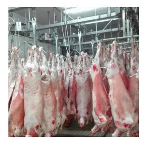 Frozen lamb/sheep meat Wholesale supplier 100% High quality cheap rate Bulk Quantity