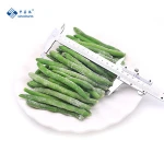 Frozen Vegetable Variety 5991 Lanhu Stringless IQF Frozen Green Bean