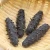 Import Fully Dried Sea Cucumber for export from Philippines