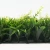 Import Garden supplies easily assembled plastic material green vertical wall garden for decoration from China