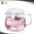 Import Glass Tea Infuser Teapot Set with Filter and Lid from China