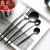 Import Gold and Black Cutlery Set Spoon Fork Knife Gift Flatware from China