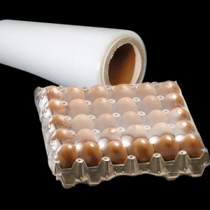 Great Quality Clear Plastic Hot Perforated Pof Film Packing Film 12 15 19 25 30mic Transparent Film
