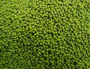 Green Mung Beans - Best Quality and Price